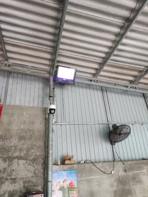 Đèn sáng xanh, chiếu sáng rộng hàng sáng ok