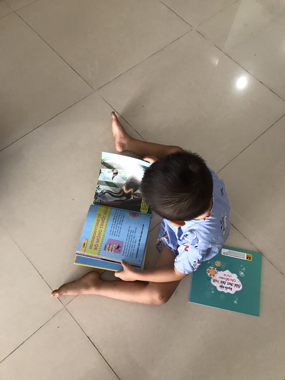 Sách dày dặn giấy đẹp. Phù hợp nếu bé yêu thích khám phá thế giới khủng long.  Rất nhiều loại khủng long mà người lớn chưa hẳn đã biết. Tuy nhiên tên dài khó đọc nên bé sẽ khó nhớ.