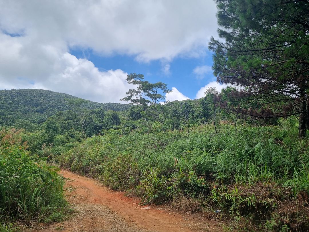 sữa ok date xa bé rất thích