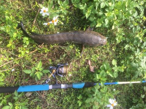 Nên mua nhé , ship hàng nhanh