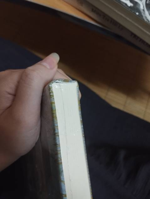 Lần thứ 2 mua tại shop nhưng chắc do mình đặt giao trong 2h nên là shop hơi vội. Bìa áo mềm ngoài thì như hình bị móp ở trên một chút, lớp bọc cũng bị rách. Nhưng may là bên trong vẫn ổn, sản phẩm đầy đủ sẽ còn ghép shop.