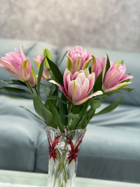 Sách nội dung hay, đóng gói đẹp và ổn
Sách mỏng thô nên đọc cũng nhanh