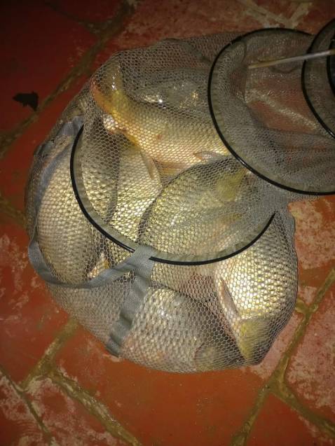 Giao hàng nhanh. Giá rẻ so với bên ngoài chất lượng sản phẩm tốt Giao hàng nhanh. Giá rẻ so với bên ngoài chất lượng sản phẩm tốt