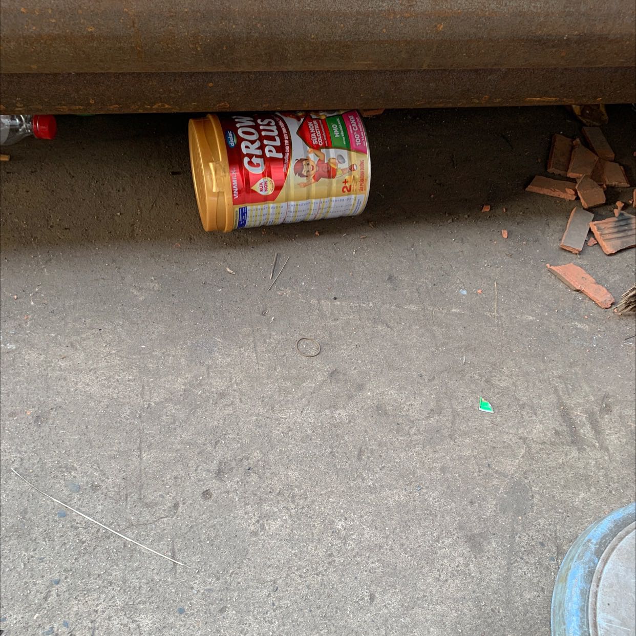 Hiao hàng nhanh . Giá hạt rẻ