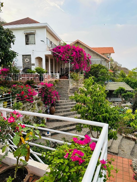 Sản phẩm tốt, ổn áp trong tầm giá như vậy, mình đã mua ở rất nhiều nơi rồi mà không nơi nào làm mình hài lòng như nơi này cả