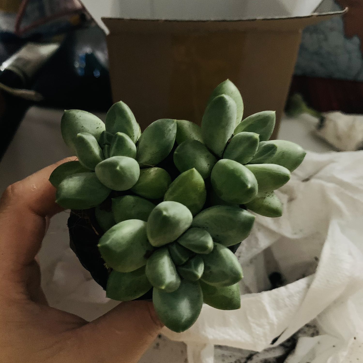 Cám ơn vì đã bán cho tôi một sản phẩm chất lượng với giá thành hợp lý. Với nhân viên giao hàng tuyệt vời và thời gian giao hàng nhanh chóng