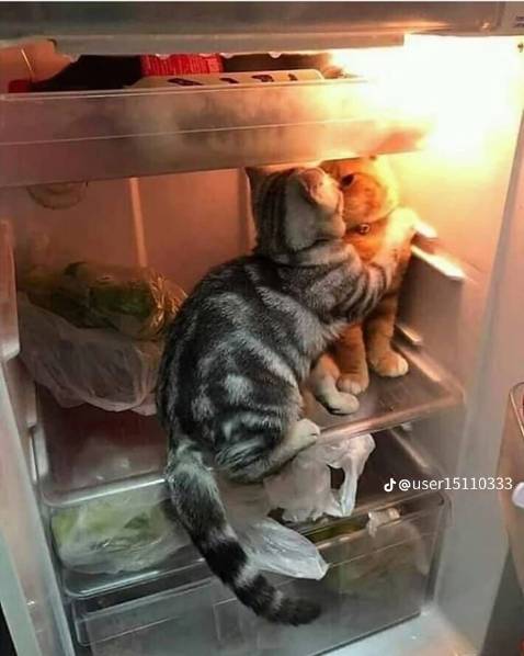 Sách mình đặt cho bố, bố mình thấy khá ưng cuốn sách và khen là bọc kĩ bìa đẹp và sạch