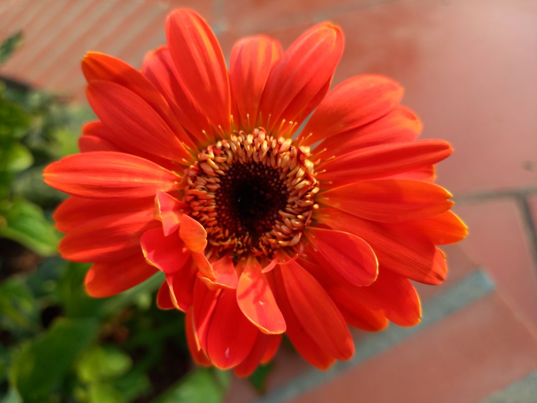 gạo thơm, ngon, giá tốt, shop giao hàng nhanh, đúng và đủ sản phẩm, cảm ơn shop ạ!