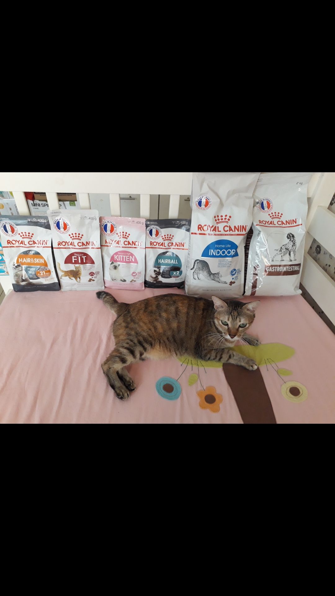 Hsd tới cuối năm sau, trc mua giá bình thuờng là 350k, giờ mua khuyến mãi giảm 50k mới đc như giá cũ.