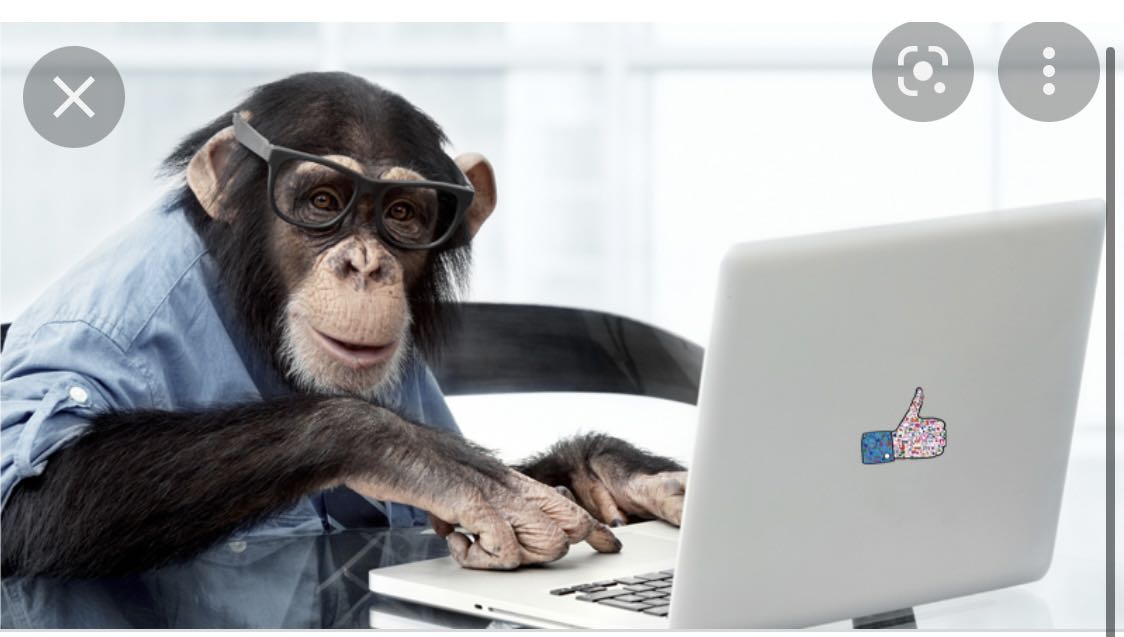 Tuyệt dkdccheuwnxnckcndkwxlxxks