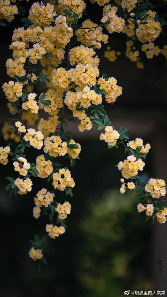 Thiết kết đẹp, ổn Định và phù hợp không gian đi xa