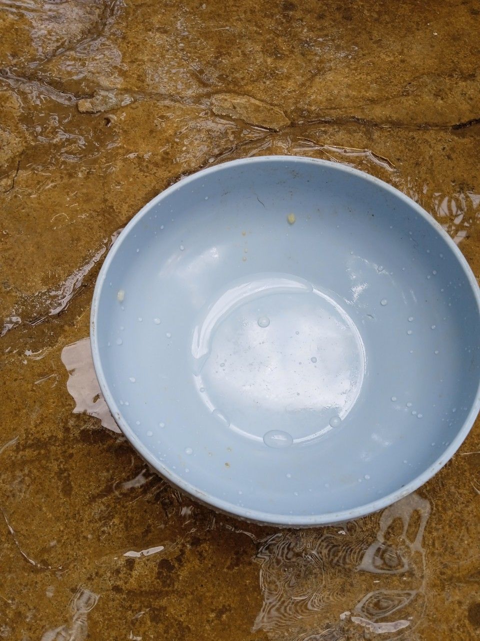 có 11k nên phải múc liền ❤️ tô xinh, nhựa cứng, mua cho bé kiki nhà ăn mà nó thích lắm 🤣 lần sau sẽ mua típ 🙆