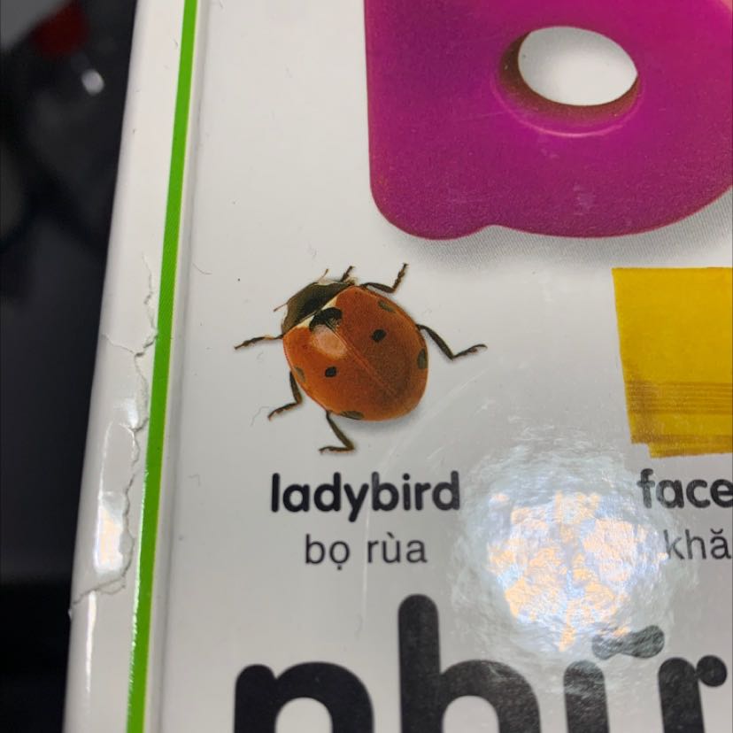 Sách to, đa dạng từ vựng hình ảnh. Nhưng thùng hàng bị rách khi nhận, sách thì nhăn góc và bị rách một chút.