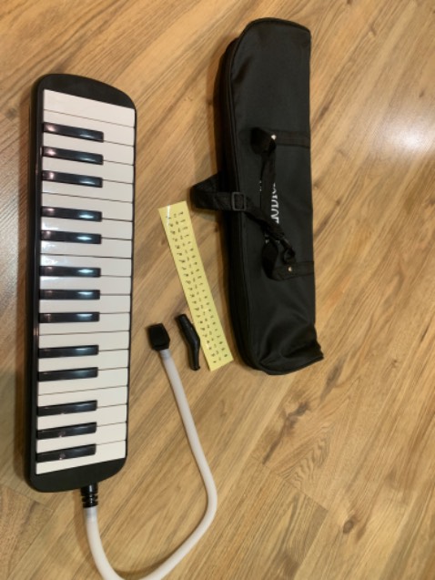 Bao gói chu đáo. SP dùng tốt, dành cho trẻ tập nhạc ở trường. Giao hàng vào Tp. HCM trong 05 ngày.