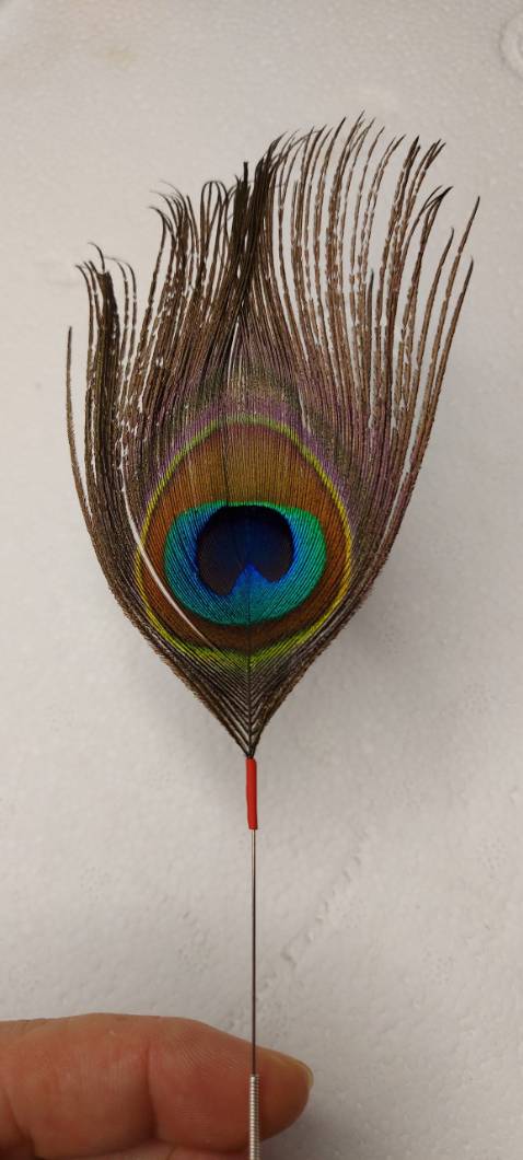 Xinh xỉu luôn,Lông công như mô tả, sử dụng cảm thấy thoải mái, rất ok nha