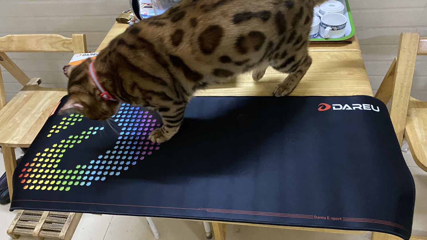 Bàn di chuột mà cứ tưởng cái thảm tập yoga ...?? Nó bự khổng lồ luôn !!!