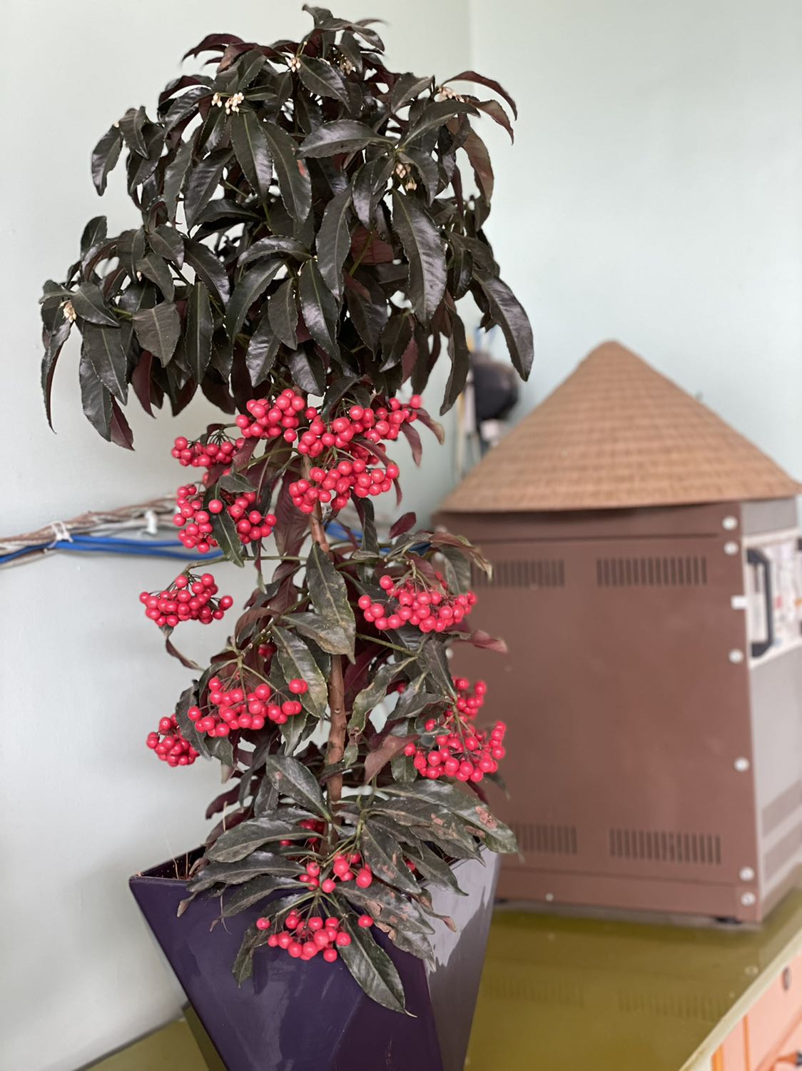 Mua nhầm sản phẩm. Muốn đổi lại