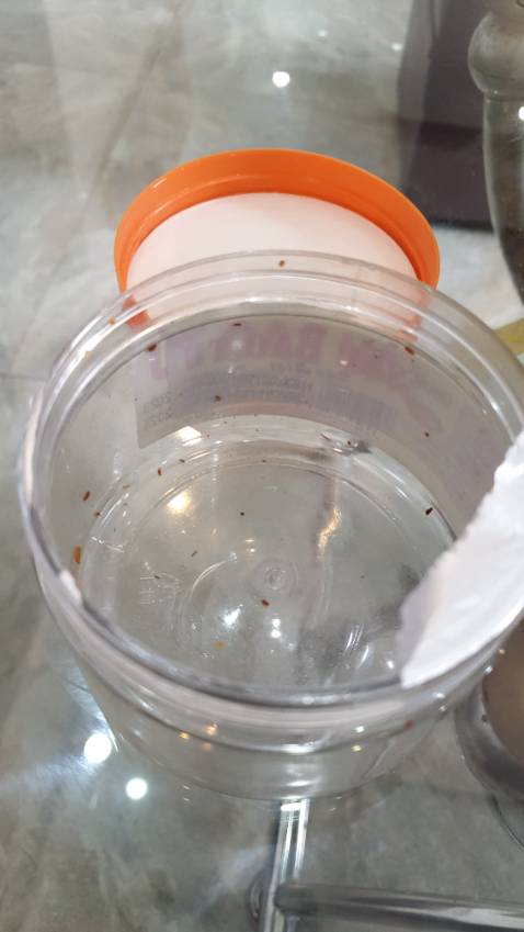 Sản phẩm chất lượng.