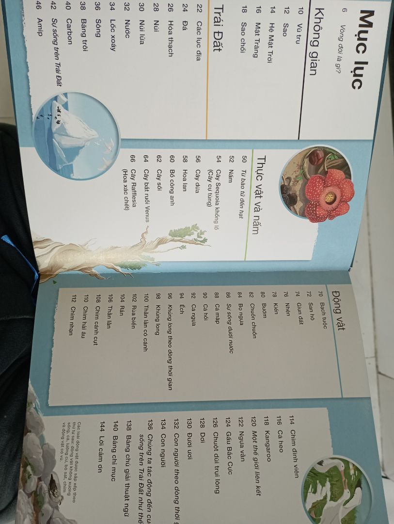 Sách chia làm 4 phần chính: Không gian, Trái Đất, thực vật và nấm, động vật. Nói chung nội dung sách DK thì khỏi bàn, hình ảnh đẹp, khoa học dễ đọc dễ xem, rất thích hợp cho trẻ em. Điểm trừ là Zenbooks làm sách này không tốt bằng Đông A, đặc điểm của sách DK là hình ảnh và nội dung được trải dàn trên 2 trang giấy vì vậy khi mở sách ra thì có cảm giác liền mạch. Nhưng sách Zenbooks làm thì không cho cảm giác liền mạch vì khó lật hơn so với sách Đông A làm, chất lượng giấy cũng không đẹp như Đông A trong khi giá thành khá cao khi mà nội dung chỉ 144 trang.