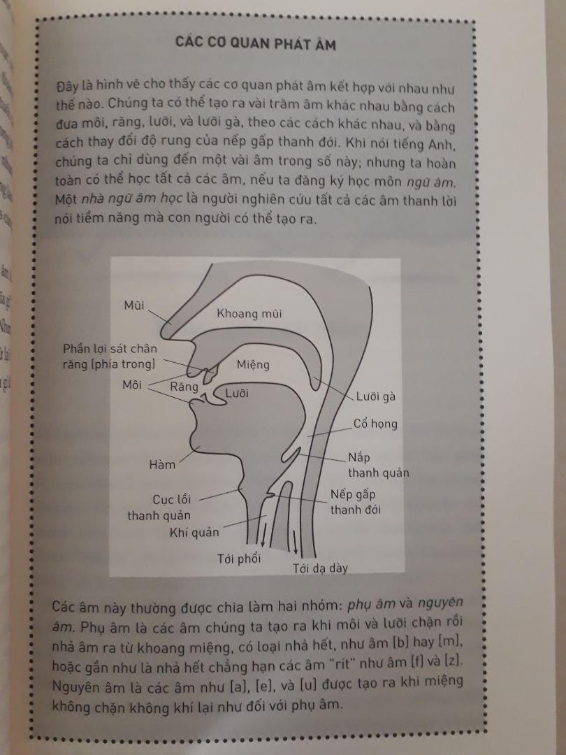 Sách khổ gần giống với sgk, độ dày vừa phải. Tác giả trình bày rất nhiều thông tin xoay quanh ngôn ngữ. Mình thiết nghĩ không chỉ những người học ngành ngôn ngữ nên tìm đọc mà đây còn là một cuốn sách rất hay để mn thường thức.