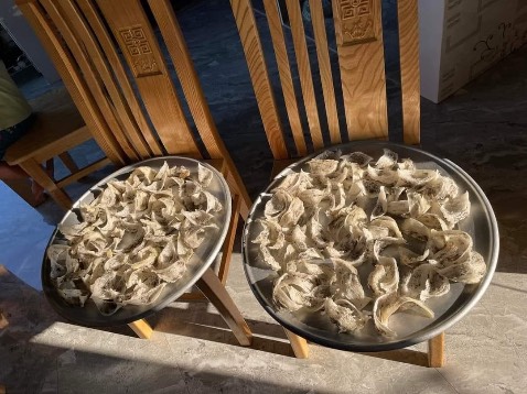 Ba mình uống thấy hợp