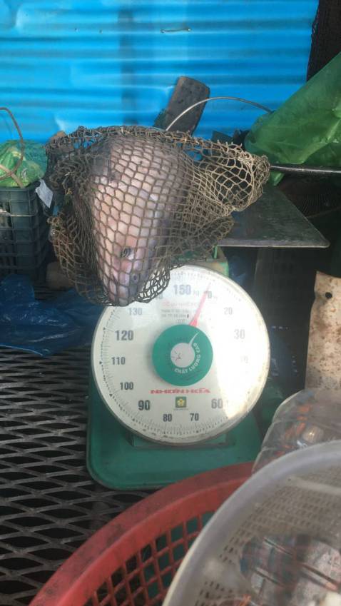 Đã nhận được hàng ngọn cần vào shop cần *** trc khi giao ạ!:((