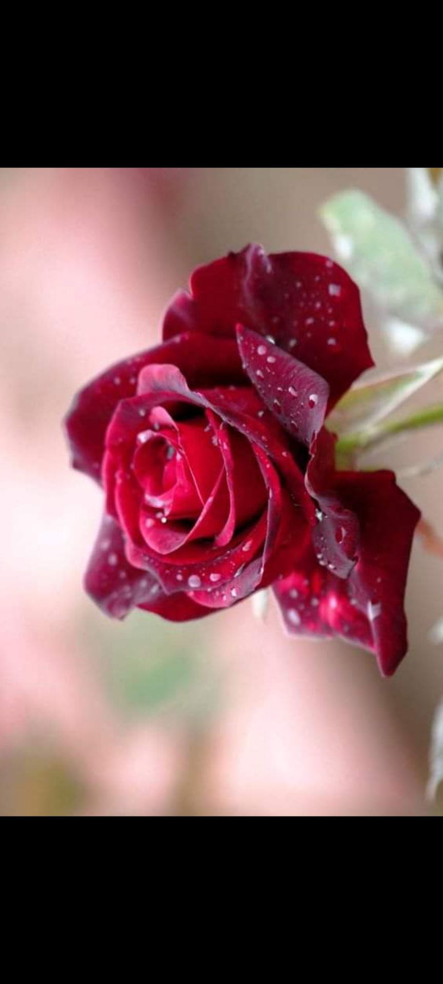 Chất vải mịn , mặc êm thoáng mát , mua đc giá rẻ cảm ơn shop nhé