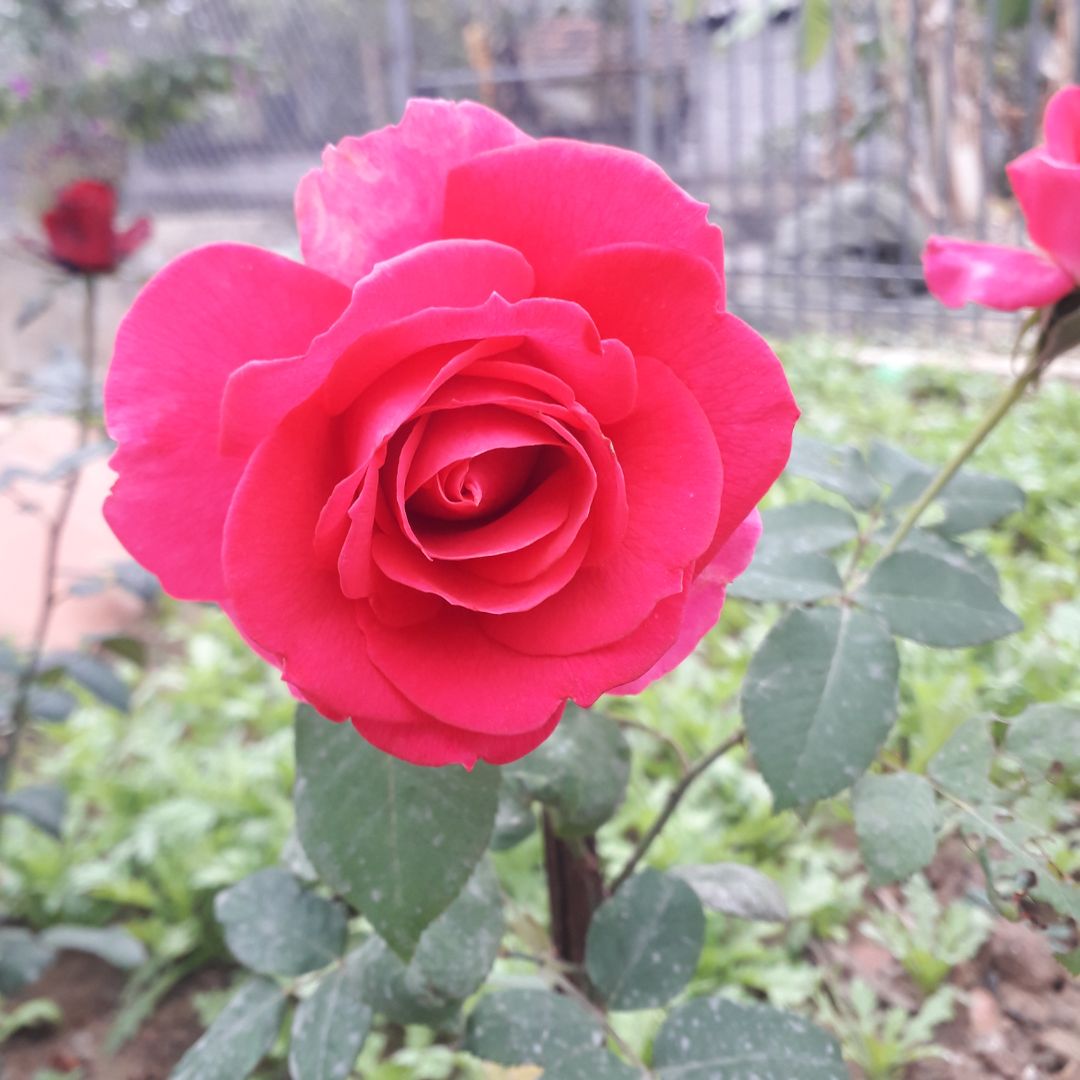 mùi rất thơm. chất lg tốt. i hô hô t77 hhoo hô tuu jp tuzt88 jpo guztii jll tt77 hô hô txhoo jl tiixy9y9o kpk yitxt88 jljl ytzt8cy uô t