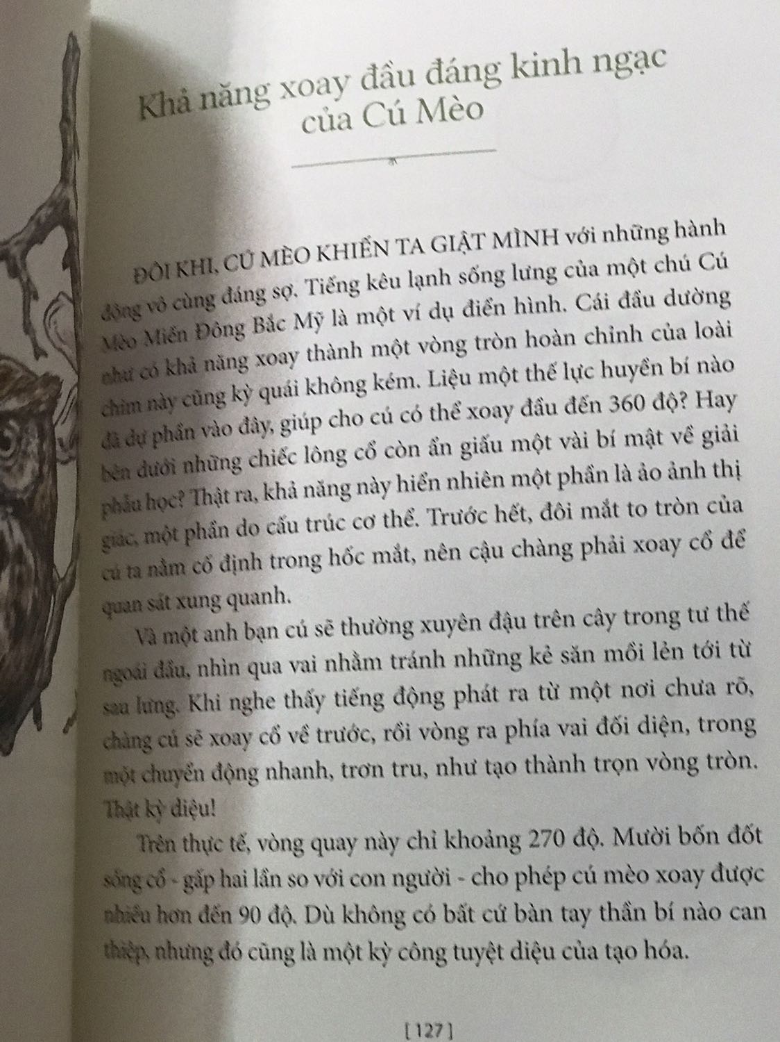 Mua được cuốn này trong đợt sale 50% còn kèm mã của tiki nên rất rẻ. Sách đẹp, nội dung đơn giản dễ hiểu nhưng đầy đủ thông tin. Giấy in màu cực kỳ dày dạn, hình minh họa đẹp miễn chê. Cực kỳ hài lòng luôn.