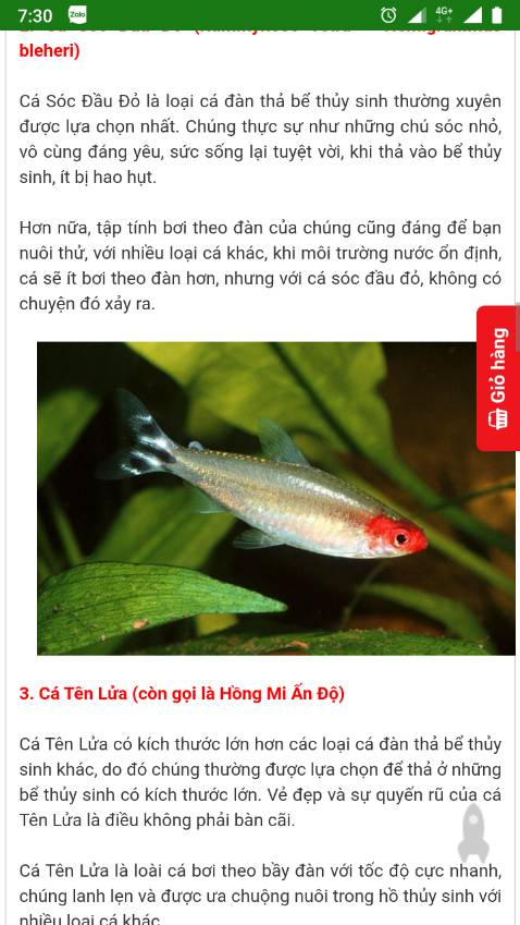 Tốc độ ghi tốt đọc thẻ nhớ nhanh dùng gần bằng những cái thẻ khác người mua cũng được và không mua cũng được nhận xét chỉ để nhận xu có xu không nhỉ