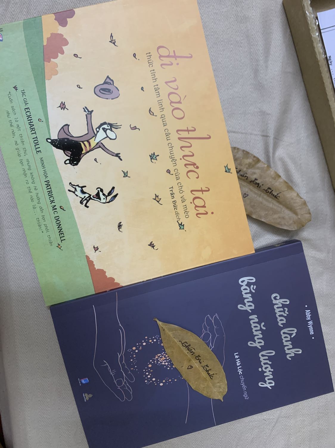 Sách dễ thương ghê, lần đầu thấy chiếc bookmark bằng lá khô xinh xẻo thực sự. Đang cần tìm hiểu về chữa lành thì đột nhiên biết về Thiện Trí Thức và m đi search thử xem có gì hay ko, cuốn sách này đến như kiểu vũ trụ tặng mình vậy ❤️