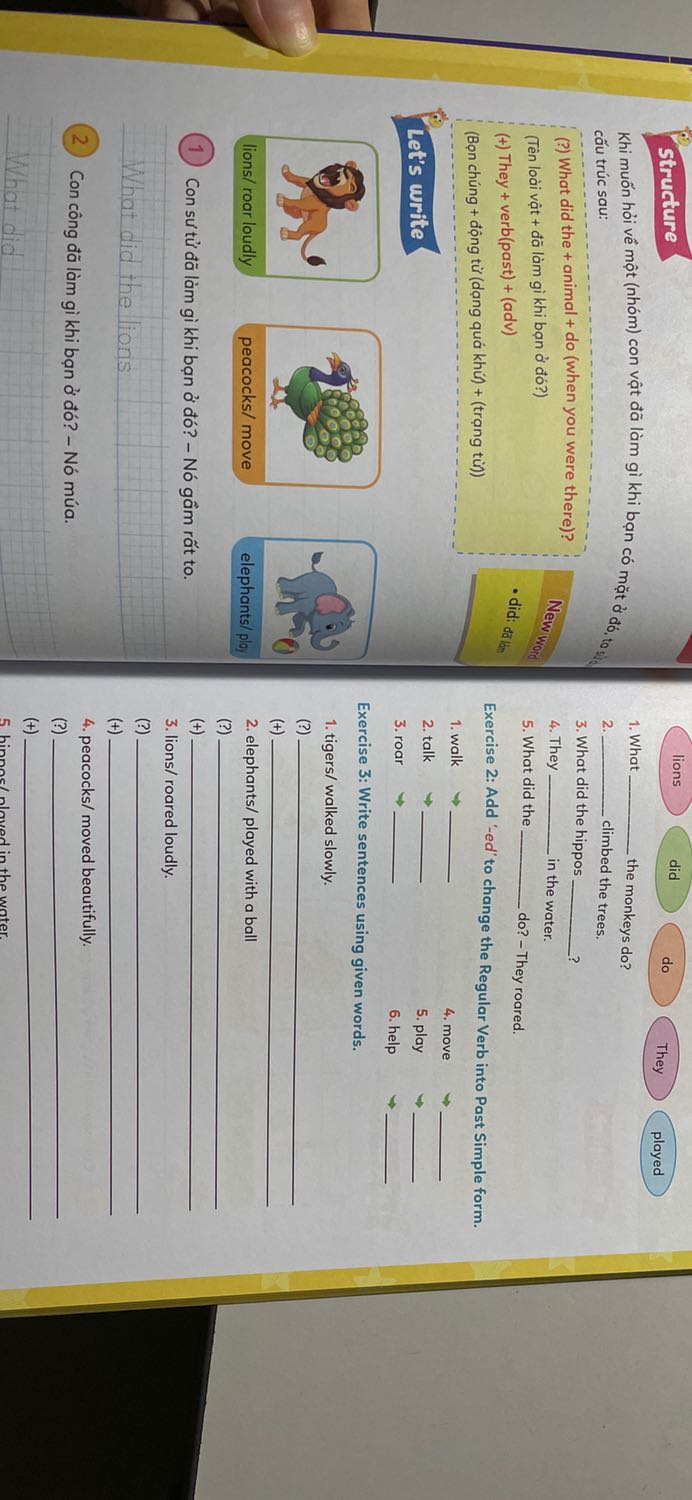 Sách dùng rất phù hợp vs học sinh cấp 1 đang muốn ôn lại ngữ pháp. Màu sắc bắt mắt và nội dung dễ hiểu