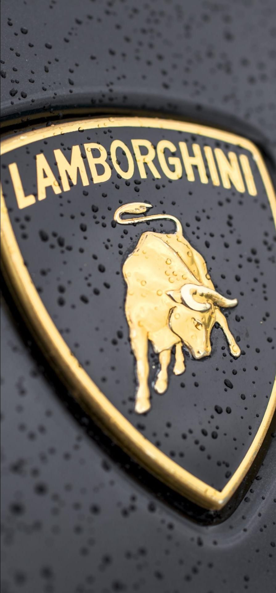 sản phẩm như hình... tốt, chất liệu của máy rất ok. nói chung dùng vặn vít, khoan nhựa cứng thì ngon... chứ khoan tường khá khó khăn... mô tơ máy khoan nhỏ quá....