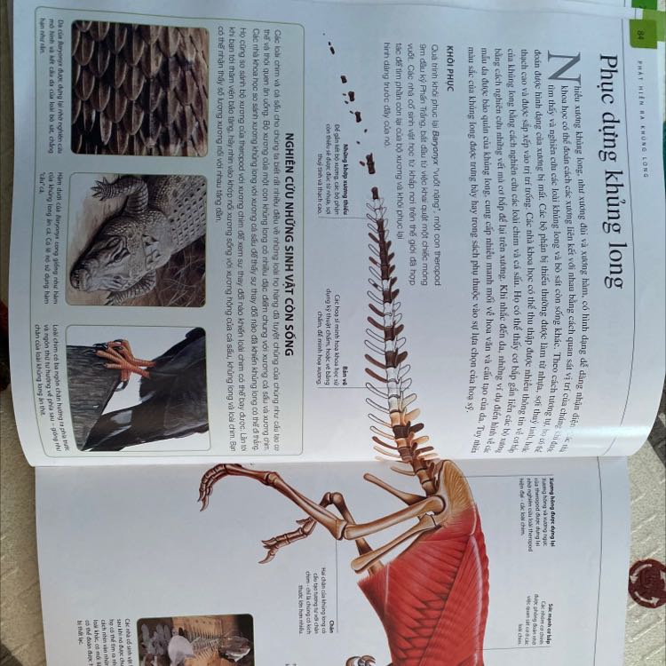 Sách đẹp, các bé rất thích. Đóng gói ok, giao hàng nhanh