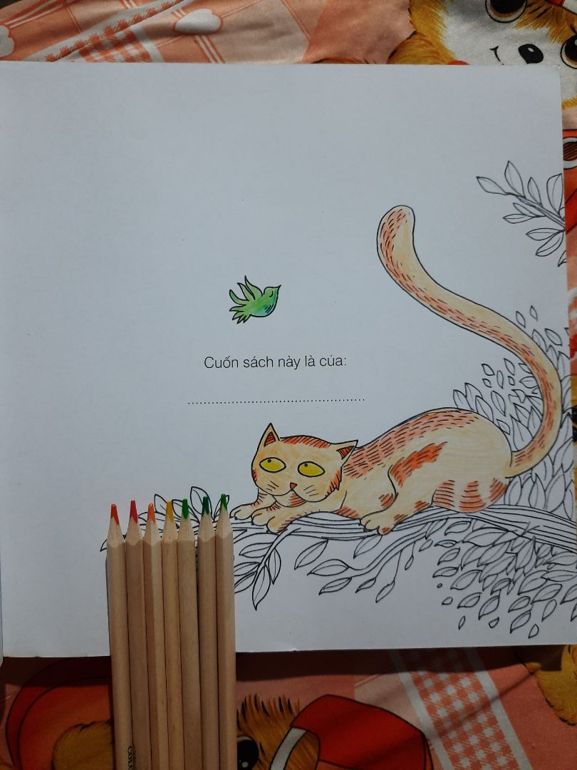 Màu chì đẹp, nhưng hơi nhạt màu. Bút cầm nhẹ và rất êm tay khi tô màu, lên giấy đẹp, không bị lem nhem, rơi vụn màu. Đồ chuốt chì kèm theo chắc để lâu ngày nên bị rỉ sét, nhưng so với tổng thể thì mình vẫn rất là ưng ý.