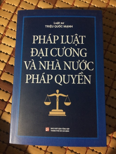 Nội dung tuy sơ lược nhưng rất đủ ý và dễ hiểu. Tuy tác giả nói rằng sách viết cho người ngoài nghề (luật) nhưng đối với mình, nó là một quyển đại cương độc đáo, phân tích và so sánh rất nhiều nguồn từ các tư liệu luật học kinh điển. Sinh viên luật càng nên đọc cuốn này.