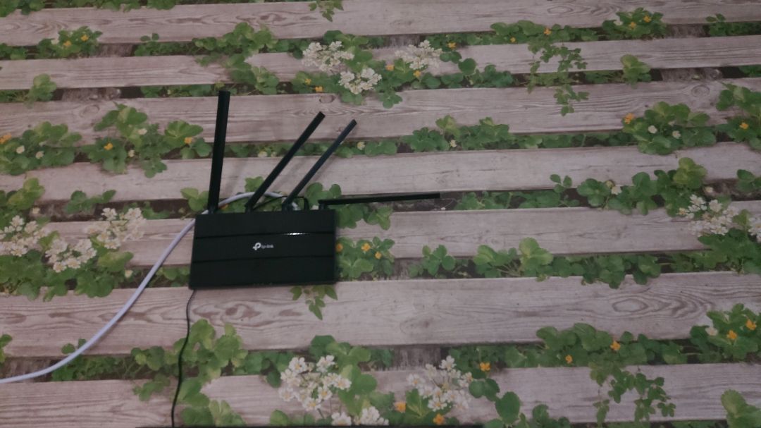 Mạnh, dễ set up, đẹp và dễ sài nữa. Shop giao hàng nhanh mặc dù là CN. Shop phản hồi cũng tích cực nên cho 5*