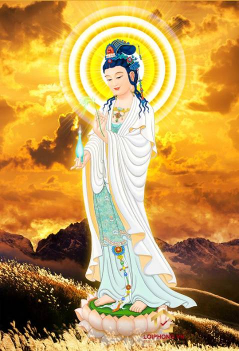 Sản phẩm ok, dùng cũng ổn