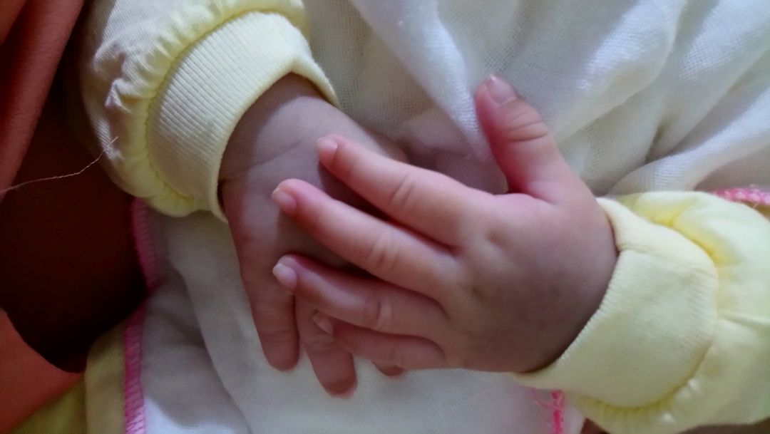 Giao hàng nhanh, sách đẹp, tranh đẹp, hình ảnh đẹp