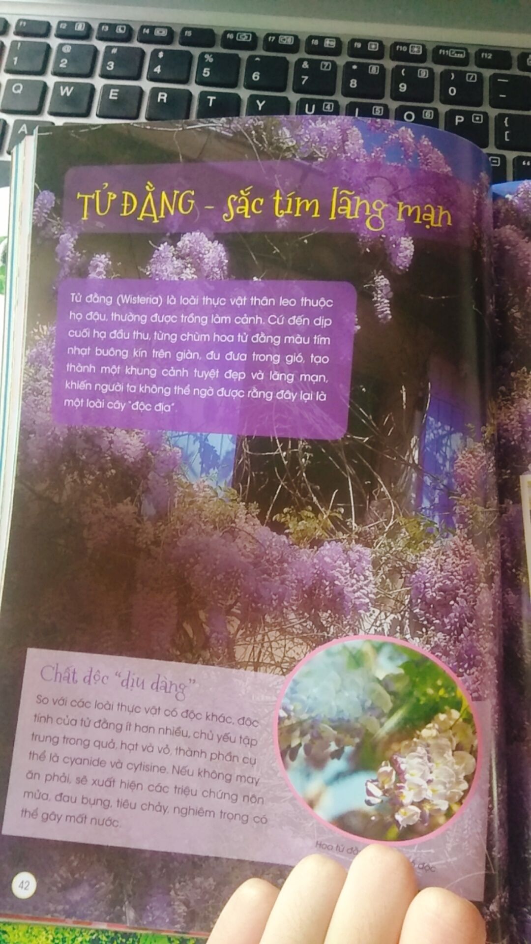 Cực kì hài lòng với cuốn này mọi người ơii. Mình mua đợt sale 50% cho em, mà vô tình lọt hố, mê quá ạ :))) 
Thông tin bổ ích với nhiều loại thực vật, kèm theo hình minh họa in màu siêu đẹp. Cuốn này không chỉ cho trẻ em đọc, mà người lớn cũng rất hợp ạ. Highly recommend cho mọi người!