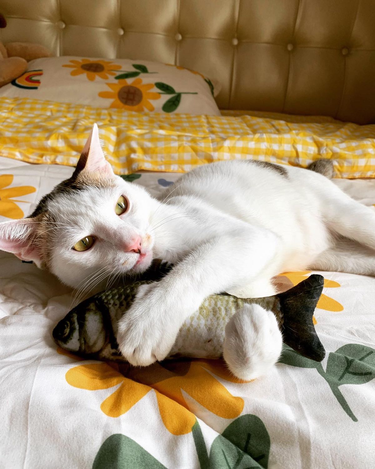 Ok nhé mèo mình rất thích, đóng gói kỹ càng chỉ có điều dịch nên giao lâu quá tận 2 tuần