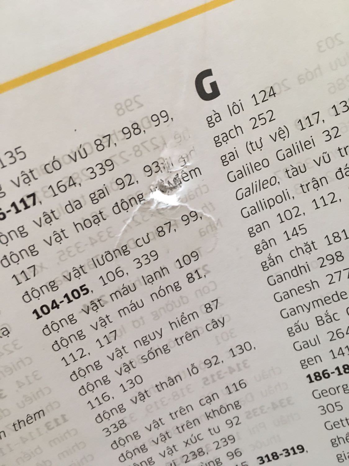 Tuy mình săn giá rẻ nhưng đóng gói cực kì kém, làm nát hết quyển sách không kể tới việc rách cả trang sách, giao hàng hẹn bảo thứ Hai giao nhưng đến tận trưa thứ Ba sau khi mình gửi *** thì mới giao. Mình đã liên hệ để hỗ trợ, cũng được xin lỗi vì giao trễ và thái độ shipper cũng tốt. Nên đánh giá 2 sao. Tiki nên gói hàng vào hộp bảo vệ sách hơn nhé, bọc bằng bì nilon thì sách nào chịu nỗi. Sách tuy sale nhưng cũng gần 400k mà gói tệ quá