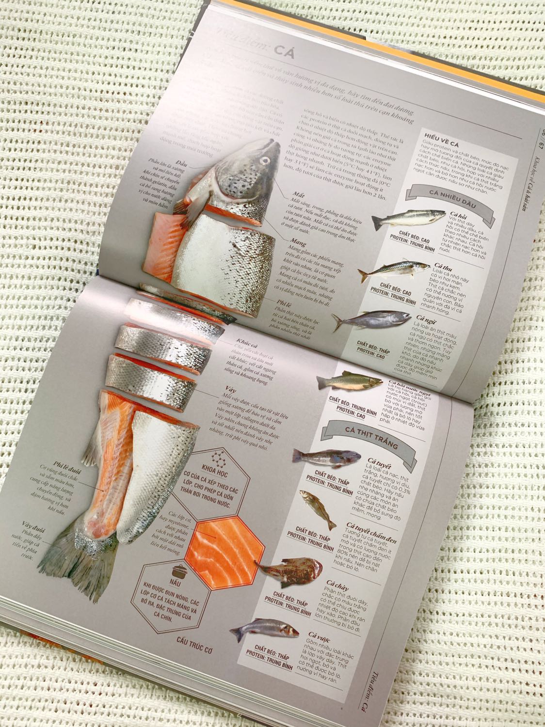 Một quyển bách khoa về các nguyên liệu trong ẩm thực. Sách thiên về giới thiệu công dụng của các dụng cụ nhà bếp, giải thích các thành phần dinh dưỡng trong thực phẩm và quá trình biến đổi chất khi nấu ăn, từ đó hướng dẫn bạn đọc cách chế biến món ăn sao cho thơm ngon mà vẫn giữ được độ dinh dưỡng nhất định.
Sách cầm nặng tay, in màu toàn bộ, chất lượng giấy in tốt và màu sắc sinh động. Một quyển bách khoa về các nguyên liệu trong ẩm thực. Sách thiên về giới thiệu công dụng của các dụng cụ nhà bếp, giải thích các thành phần dinh dưỡng trong thực phẩm và quá trình biến đổi chất khi nấu ăn, từ đó hướng dẫn bạn đọc cách chế biến món ăn sao cho thơm ngon mà vẫn giữ được độ dinh dưỡng nhất định.
Sách cầm nặng tay, in màu toàn bộ, chất lượng giấy in tốt và màu sắc sinh động.