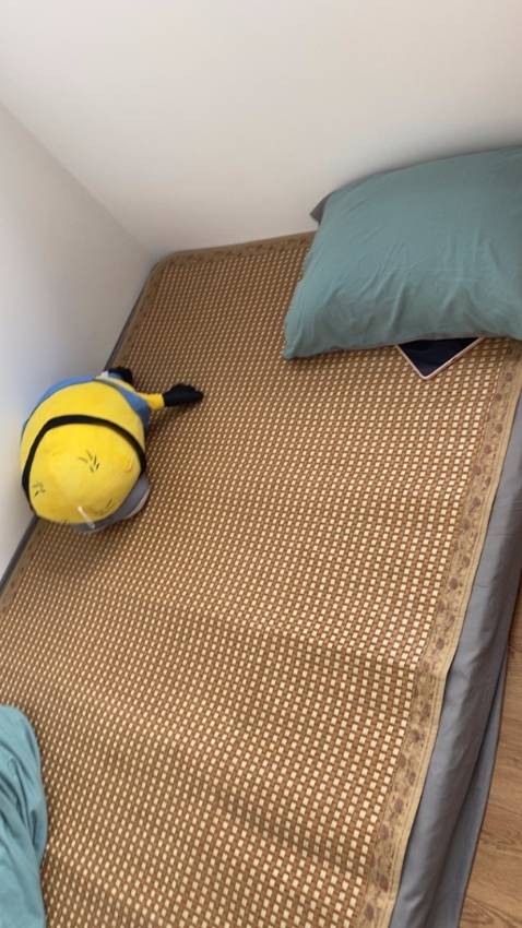 Sản phẩm đúng như mô tả, shop đóng gói đầy đủ, cẩn thận, giá sale tốt. Màu sắc sạch sẽ, sợi mây đan chéo, dễ vệ sinh, đặc biệt không có mùi. nằm phòng điều hòa khá mát chứ không bị lạnh lưng như chiếu trúc - gấp gọn khá dẻo, mềm, không bị gẫy như nhiều chiếu cói khác! nói chung với tầm giá này thì ok!