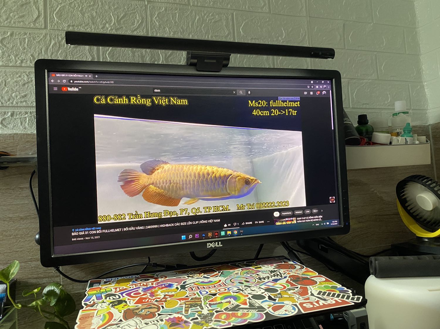 Tiếc là không mua sớm hơn, đèn rất ok, chắc chắn, ánh sáng mạnh, tha hồ làm viẹc buổi tối mà ko sợ nhức mắt nữa rồi. Cám ơn shop