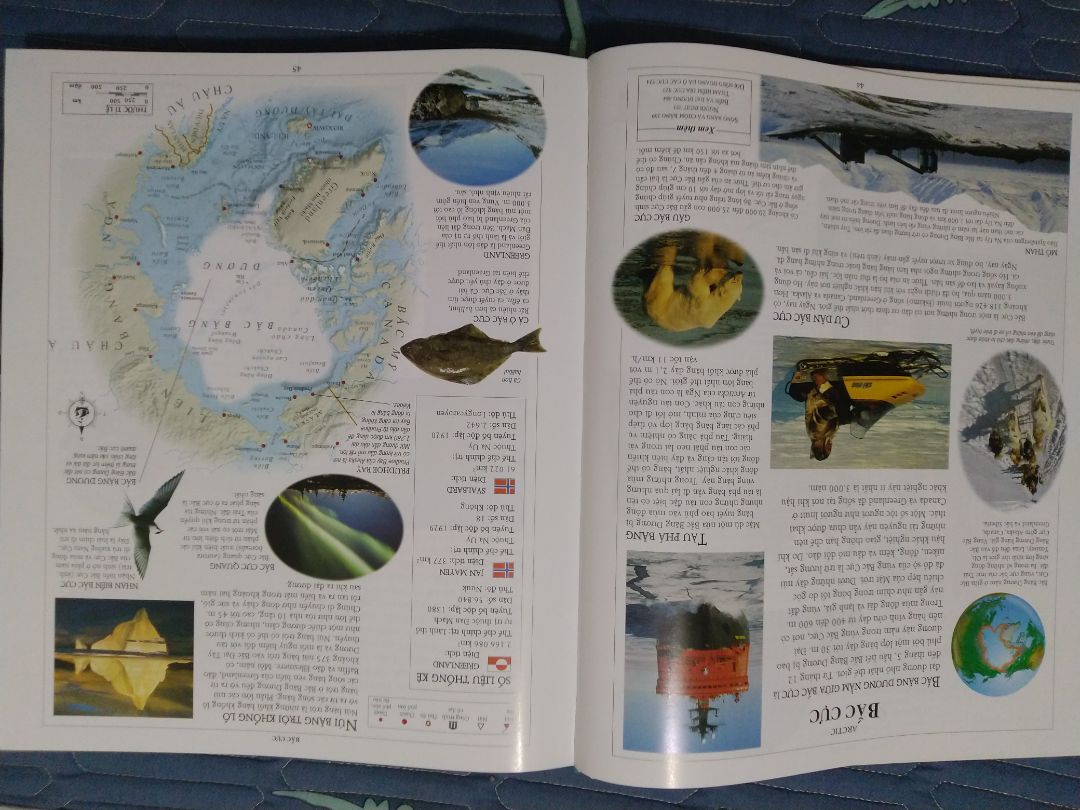 nội dung sách nhiều. hình thức sách đẹp lắm. trong kiện hàng cho lót một đống cotton chống sốc