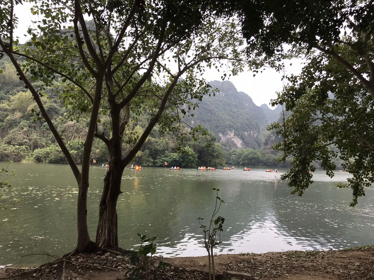 Sản phẩm như hình, gói hàng cẩn thận, hình ảnh chỉ mang tính chất minh hoạ