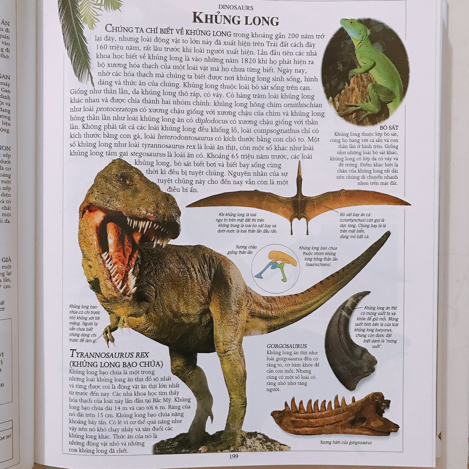 RẤT ĐÁNG MUA nha! Đây là 1 cuốn sách nặng ký cả nghĩa đen lẫn nghĩa bóng. 800 trang in màu, cung cấp kiến thức tổng quan về rất nhiều lĩnh vực như lịch sử, địa lý, văn hoá, khoa học, kiến trúc, động thực vật… Các chủ đề được sắp xếp theo thứ tự Alphabet tiếng Anh, chỉ cần biết chút từ vựng tiếng Anh cơ bản là tra cứu rất dễ dàng, hơn nữa cuối sách còn có bảng mục lục - chỉ dẫn tra theo từ khoá tiếng Việt, tóm lại là rất bổ ích nhé!

NS Cá Chép thì trên cả tuyệt vời rồi, đóng gói vận chuyển cực kì cẩn thận, sách tới tay lúc nào cũng mới cóong. Áp đủ mã thì cuốn này còn 260k, quá hợp lý cho một Bách khoa tri thức như thế này! Thanks!