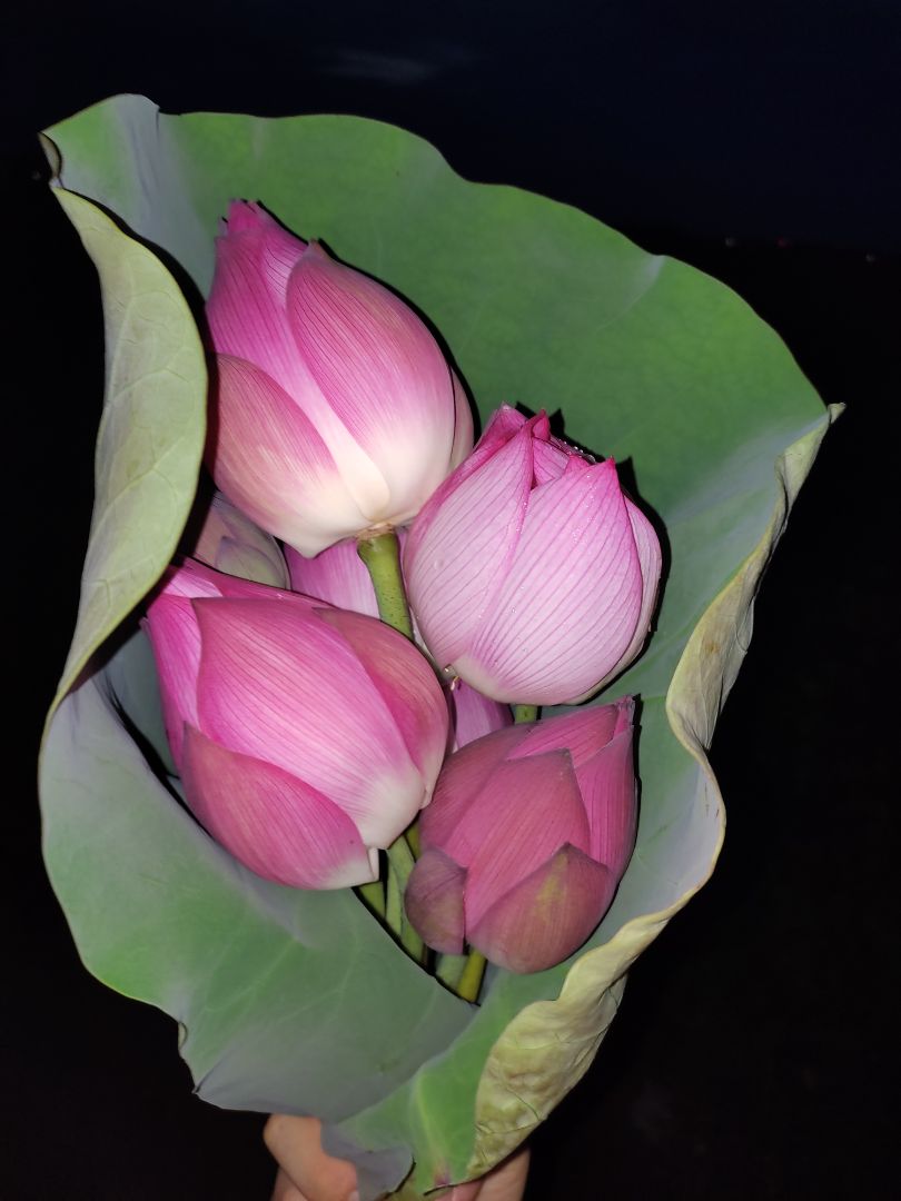 kìm bấm oke lắm nên mua nhaaa