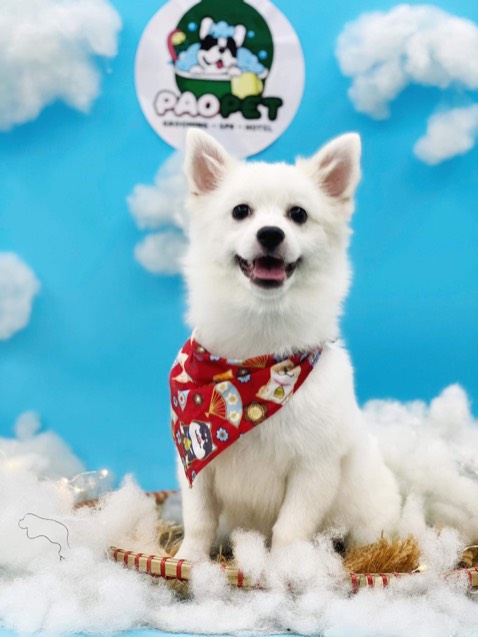 Hàng giao đúng sản phẩm
Được tặng kèm nhiệt kế đo khá hấp dẫn
Mong shop đưa ra nhiều khuyến mãi hơn vào lần tới nha
CẢm ơn shop rất là nhiều nè